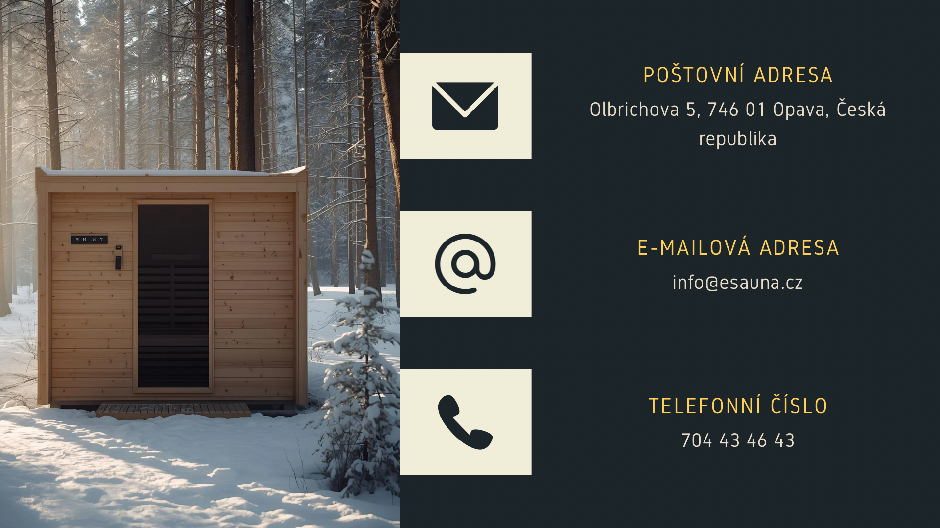 Obchodní Cíle Ikony Širokoúhlý Prezentace_1